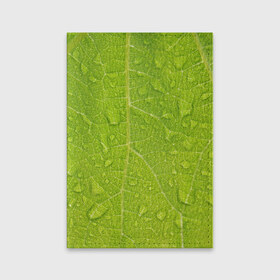 Обложка для паспорта матовая кожа с принтом Листок с росой в Новосибирске, натуральная матовая кожа | размер 19,3 х 13,7 см; прозрачные пластиковые крепления | зеленый | капли | перерода | текстура