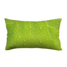 Подушка 3D антистресс с принтом Листок с росой в Новосибирске, наволочка — 100% полиэстер, наполнитель — вспененный полистирол | состоит из подушки и наволочки на молнии | зеленый | капли | перерода | текстура