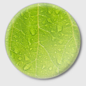 Значок с принтом Листок с росой в Новосибирске,  металл | круглая форма, металлическая застежка в виде булавки | зеленый | капли | перерода | текстура