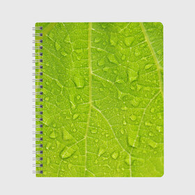 Тетрадь с принтом Листок с росой в Новосибирске, 100% бумага | 48 листов, плотность листов — 60 г/м2, плотность картонной обложки — 250 г/м2. Листы скреплены сбоку удобной пружинной спиралью. Уголки страниц и обложки скругленные. Цвет линий — светло-серый
 | зеленый | капли | перерода | текстура
