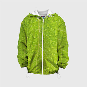 Детская куртка 3D с принтом Листок с росой в Новосибирске, 100% полиэстер | застежка — молния, подол и капюшон оформлены резинкой с фиксаторами, по бокам — два кармана без застежек, один потайной карман на груди, плотность верхнего слоя — 90 г/м2; плотность флисового подклада — 260 г/м2 | зеленый | капли | перерода | текстура