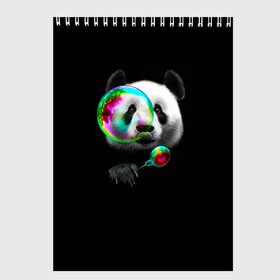 Скетчбук с принтом Панда и мыльный пузырь в Новосибирске, 100% бумага
 | 48 листов, плотность листов — 100 г/м2, плотность картонной обложки — 250 г/м2. Листы скреплены сверху удобной пружинной спиралью | арт | животные | забавная панда | зверь панда | мыльный пузырь | панда | панды | пузырь | рисунок