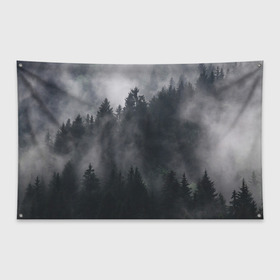 Флаг-баннер с принтом Лес в Новосибирске, 100% полиэстер | размер 67 х 109 см, плотность ткани — 95 г/м2; по краям флага есть четыре люверса для крепления | арт | дерево | деревья | зеленый | картинка | лес | небо | облака | облако | природа | рисунок | темный