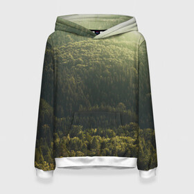 Женская толстовка 3D с принтом Летний лес в Новосибирске, 100% полиэстер  | двухслойный капюшон со шнурком для регулировки, мягкие манжеты на рукавах и по низу толстовки, спереди карман-кенгуру с мягким внутренним слоем. | дерево | деревья | зеленый | лес | лето | небо | облако | солнце | темный | ярко