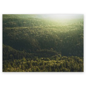 Поздравительная открытка с принтом Летний лес в Новосибирске, 100% бумага | плотность бумаги 280 г/м2, матовая, на обратной стороне линовка и место для марки
 | дерево | деревья | зеленый | лес | лето | небо | облако | солнце | темный | ярко