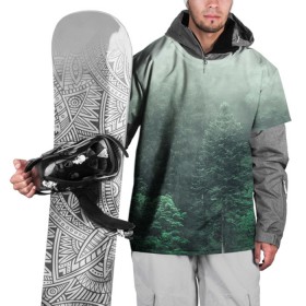 Накидка на куртку 3D с принтом Туманный лес в Новосибирске, 100% полиэстер |  | дерево | деревья | зеленый | лес | облака | облако | снег | темный