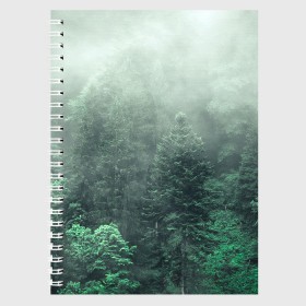 Тетрадь с принтом Туманный лес в Новосибирске, 100% бумага | 48 листов, плотность листов — 60 г/м2, плотность картонной обложки — 250 г/м2. Листы скреплены сбоку удобной пружинной спиралью. Уголки страниц и обложки скругленные. Цвет линий — светло-серый
 | Тематика изображения на принте: дерево | деревья | зеленый | лес | облака | облако | снег | темный