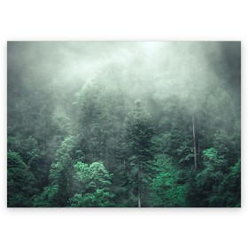 Поздравительная открытка с принтом Туманный лес в Новосибирске, 100% бумага | плотность бумаги 280 г/м2, матовая, на обратной стороне линовка и место для марки
 | Тематика изображения на принте: дерево | деревья | зеленый | лес | облака | облако | снег | темный