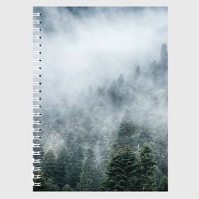 Тетрадь с принтом Туманный лес в Новосибирске, 100% бумага | 48 листов, плотность листов — 60 г/м2, плотность картонной обложки — 250 г/м2. Листы скреплены сбоку удобной пружинной спиралью. Уголки страниц и обложки скругленные. Цвет линий — светло-серый
 | белый | зеленый | лес | облака | облако | природа | темный | туман