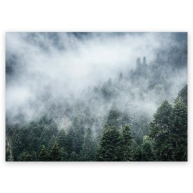Поздравительная открытка с принтом Туманный лес в Новосибирске, 100% бумага | плотность бумаги 280 г/м2, матовая, на обратной стороне линовка и место для марки
 | белый | зеленый | лес | облака | облако | природа | темный | туман