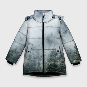 Зимняя куртка для девочек 3D с принтом Туманный лес в Новосибирске, ткань верха — 100% полиэстер; подклад — 100% полиэстер, утеплитель — 100% полиэстер. | длина ниже бедра, удлиненная спинка, воротник стойка и отстегивающийся капюшон. Есть боковые карманы с листочкой на кнопках, утяжки по низу изделия и внутренний карман на молнии. 

Предусмотрены светоотражающий принт на спинке, радужный светоотражающий элемент на пуллере молнии и на резинке для утяжки. | белый | зеленый | лес | облака | облако | природа | темный | туман