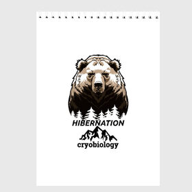 Скетчбук с принтом hibernation в Новосибирске, 100% бумага
 | 48 листов, плотность листов — 100 г/м2, плотность картонной обложки — 250 г/м2. Листы скреплены сверху удобной пружинной спиралью | Тематика изображения на принте: cryobiology | hibernation | бездействие | горы | зимняя спячка | криобиология | лес | медведь | сон | спячка