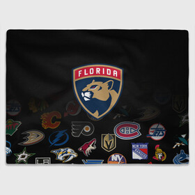 Плед 3D с принтом NHL Florida Panthers (Z) в Новосибирске, 100% полиэстер | закругленные углы, все края обработаны. Ткань не мнется и не растягивается | anaheim ducks | arizona coyotes | boston bruins | buffalo sabres | calgary flames | canadiens de montreal | chicago blackhawks | colorado | florida panthers | hockey | nhl | нхл | паттерн | спорт | хоккей