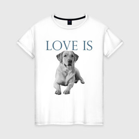 Женская футболка хлопок с принтом Любовь - это лабрадор в Новосибирске, 100% хлопок | прямой крой, круглый вырез горловины, длина до линии бедер, слегка спущенное плечо | дрессировка | забота | лабр | лабрадор | лабрадор ретривер | любовь | собака | собаки | собачка | собачник | увлечение | хобби