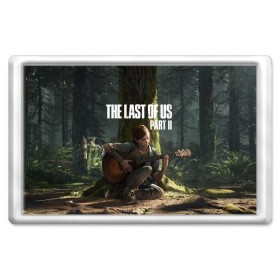 Магнит 45*70 с принтом The Last of Us part 2 в Новосибирске, Пластик | Размер: 78*52 мм; Размер печати: 70*45 | 