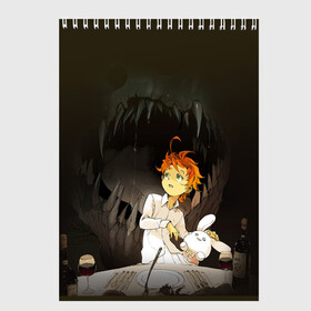 Скетчбук с принтом The Promised Neverland в Новосибирске, 100% бумага
 | 48 листов, плотность листов — 100 г/м2, плотность картонной обложки — 250 г/м2. Листы скреплены сверху удобной пружинной спиралью | anime | emma | mango | the promised neverland | yakusoku no neverland | аниме | манга | обещанная страна грёз | обещанный неверленд