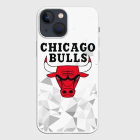 Чехол для iPhone 13 mini с принтом CHICAGO BULLS в Новосибирске,  |  | bulls | chicago | chicago bulls | nba | red bulls | usa | америка | быки | нба | сша | чикаго буллс