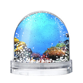 Снежный шар с принтом Подводный мир в Новосибирске, Пластик | Изображение внутри шара печатается на глянцевой фотобумаге с двух сторон | Тематика изображения на принте: аква | аквариум | актинии | вода | море | морские | морские звезды | морской | океан | под водой | подводный мир | пузырьки | рыба | рыба клоун | рыбы
