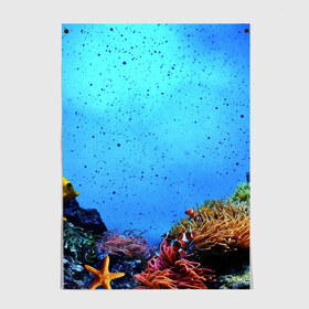Постер с принтом Подводный мир в Новосибирске, 100% бумага
 | бумага, плотность 150 мг. Матовая, но за счет высокого коэффициента гладкости имеет небольшой блеск и дает на свету блики, но в отличии от глянцевой бумаги не покрыта лаком | аква | аквариум | актинии | вода | море | морские | морские звезды | морской | океан | под водой | подводный мир | пузырьки | рыба | рыба клоун | рыбы
