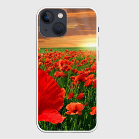 Чехол для iPhone 13 mini с принтом Красный мак на закате в Новосибирске,  |  | закат | лето | мак | небо | поле | природа | солнце | текстуры | тренды | цветы