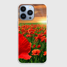 Чехол для iPhone 13 Pro с принтом Красный мак на закате в Новосибирске,  |  | закат | лето | мак | небо | поле | природа | солнце | текстуры | тренды | цветы