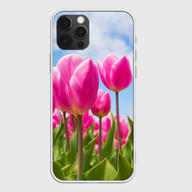 Чехол для iPhone 12 Pro Max с принтом Розовые тюльпаны в Новосибирске, Силикон |  | flowers | бутоны | дача | девушке | женщинам | лепестки | летний | лето | листья | любимая | любовь | небесный | небо | нежный | облака | поляна | природа | растения | романтика | сад | синеенебо | солнечный
