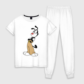 Женская пижама хлопок с принтом Animaniacs в Новосибирске, 100% хлопок | брюки и футболка прямого кроя, без карманов, на брюках мягкая резинка на поясе и по низу штанин | animaniacs | vdpartat | yakko warner | озорные анимашки | якко уорнер