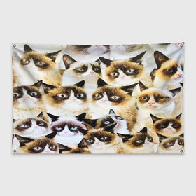 Флаг-баннер с принтом КОТ МЕМ в Новосибирске, 100% полиэстер | размер 67 х 109 см, плотность ткани — 95 г/м2; по краям флага есть четыре люверса для крепления | cat | взгляд | кот | кот хипстер | котёнок | котятки | котятушки | кошечки | кошка | мордочка