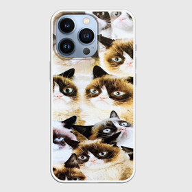 Чехол для iPhone 13 Pro с принтом КОТ МЕМ в Новосибирске,  |  | cat | взгляд | кот | кот хипстер | котёнок | котятки | котятушки | кошечки | кошка | мордочка
