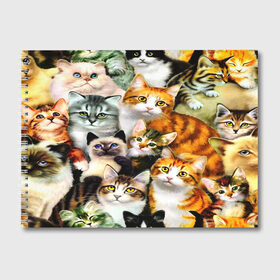 Альбом для рисования с принтом КОТЫ в Новосибирске, 100% бумага
 | матовая бумага, плотность 200 мг. | cat | взгляд | кот | кот хипстер | котёнок | котятки | котятушки | кошечки | кошка | мордочка