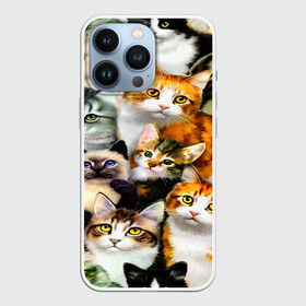 Чехол для iPhone 13 Pro с принтом КОТЫ в Новосибирске,  |  | cat | взгляд | кот | кот хипстер | котёнок | котятки | котятушки | кошечки | кошка | мордочка