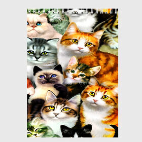 Скетчбук с принтом КОТЫ в Новосибирске, 100% бумага
 | 48 листов, плотность листов — 100 г/м2, плотность картонной обложки — 250 г/м2. Листы скреплены сверху удобной пружинной спиралью | Тематика изображения на принте: cat | взгляд | кот | кот хипстер | котёнок | котятки | котятушки | кошечки | кошка | мордочка