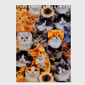 Скетчбук с принтом КОТЯТКИ в Новосибирске, 100% бумага
 | 48 листов, плотность листов — 100 г/м2, плотность картонной обложки — 250 г/м2. Листы скреплены сверху удобной пружинной спиралью | Тематика изображения на принте: cat | взгляд | кот | кот хипстер | котёнок | котятки | котятушки | кошечки | кошка | мордочка