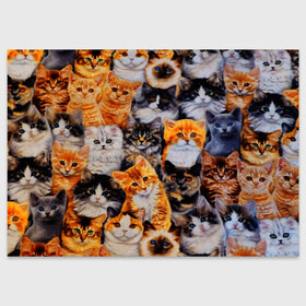 Поздравительная открытка с принтом КОТЯТКИ в Новосибирске, 100% бумага | плотность бумаги 280 г/м2, матовая, на обратной стороне линовка и место для марки
 | Тематика изображения на принте: cat | взгляд | кот | кот хипстер | котёнок | котятки | котятушки | кошечки | кошка | мордочка