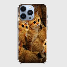Чехол для iPhone 13 Pro с принтом КОТЯТУШКИ в Новосибирске,  |  | cat | взгляд | кот | кот хипстер | котёнок | котятки | котятушки | кошечки | кошка | мордочка