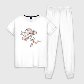 Женская пижама хлопок с принтом Брейн и Пинки в Новосибирске, 100% хлопок | брюки и футболка прямого кроя, без карманов, на брюках мягкая резинка на поясе и по низу штанин | animaniacs | vdpartat | белая мышь | брейн | гений | глупая мышь | озорные анимашки | пинки