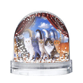 Снежный шар с принтом Коты в Новосибирске, Пластик | Изображение внутри шара печатается на глянцевой фотобумаге с двух сторон | cat | взгляд | кот | кот хипстер | котёнок | котятки | котятушки | кошечки | кошка | мордочка