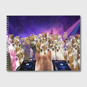 Альбом для рисования с принтом КОТ DJ в Новосибирске, 100% бумага
 | матовая бумага, плотность 200 мг. | cat | взгляд | кот | кот хипстер | котёнок | котятки | котятушки | кошечки | кошка | мордочка