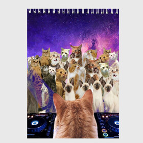 Скетчбук с принтом КОТ DJ в Новосибирске, 100% бумага
 | 48 листов, плотность листов — 100 г/м2, плотность картонной обложки — 250 г/м2. Листы скреплены сверху удобной пружинной спиралью | Тематика изображения на принте: cat | взгляд | кот | кот хипстер | котёнок | котятки | котятушки | кошечки | кошка | мордочка