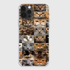 Чехол для iPhone 12 Pro Max с принтом КОТОПАТТЕРН в Новосибирске, Силикон |  | Тематика изображения на принте: cat | взгляд | кот | кот хипстер | котёнок | котятки | котятушки | кошечки | кошка | мордочка