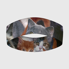 Повязка на голову 3D с принтом КОТЯТКИ в Новосибирске,  |  | cat | взгляд | кот | кот хипстер | котёнок | котятки | котятушки | кошечки | кошка | мордочка