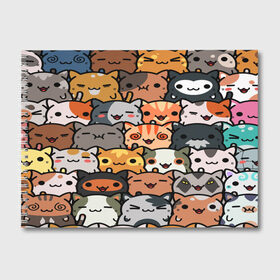 Альбом для рисования с принтом КОТИКИ в Новосибирске, 100% бумага
 | матовая бумага, плотность 200 мг. | cat | взгляд | кот | кот хипстер | котёнок | котятки | котятушки | кошечки | кошка | мордочка