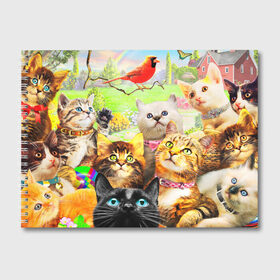 Альбом для рисования с принтом КОТЫ в Новосибирске, 100% бумага
 | матовая бумага, плотность 200 мг. | cat | взгляд | кот | кот хипстер | котёнок | котятки | котятушки | кошечки | кошка | мордочка