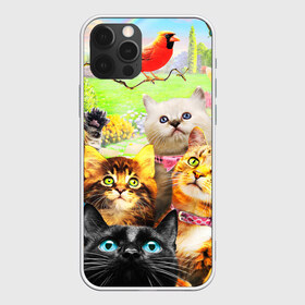 Чехол для iPhone 12 Pro Max с принтом КОТЫ в Новосибирске, Силикон |  | Тематика изображения на принте: cat | взгляд | кот | кот хипстер | котёнок | котятки | котятушки | кошечки | кошка | мордочка