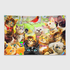 Флаг-баннер с принтом КОТЫ в Новосибирске, 100% полиэстер | размер 67 х 109 см, плотность ткани — 95 г/м2; по краям флага есть четыре люверса для крепления | cat | взгляд | кот | кот хипстер | котёнок | котятки | котятушки | кошечки | кошка | мордочка