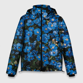 Мужская зимняя куртка 3D с принтом Поле синих цветов фиалки лето в Новосибирске, верх — 100% полиэстер; подкладка — 100% полиэстер; утеплитель — 100% полиэстер | длина ниже бедра, свободный силуэт Оверсайз. Есть воротник-стойка, отстегивающийся капюшон и ветрозащитная планка. 

Боковые карманы с листочкой на кнопках и внутренний карман на молнии. | голубые цветочки | лето | луг | незабудки | поле | поляна | синие цветы | узор из цветов | фиалки | фото реализм | цветы