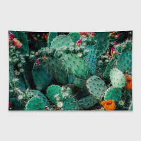 Флаг-баннер с принтом кактусы с цветами реализм в Новосибирске, 100% полиэстер | размер 67 х 109 см, плотность ткани — 95 г/м2; по краям флага есть четыре люверса для крепления | бутоны | иголки | кактус | кактусы | комнатные растения | лето | реализм | суккуленты | тропики | узор | цветки | цветы | экзотика