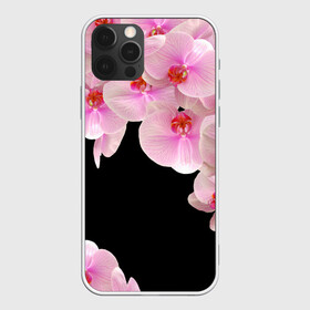 Чехол для iPhone 12 Pro Max с принтом Орхидеи в ночи в Новосибирске, Силикон |  | азия | бабочки | бутоны | ветки | девушкам | джунгли | женщинам | лепестки | летний | лето | листья | любовь | март | орхидеи | орхидея | подарок | природа | растения | розовыецветы | сад | тропика