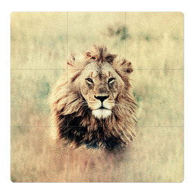 Магнитный плакат 3Х3 с принтом Lion King в Новосибирске, Полимерный материал с магнитным слоем | 9 деталей размером 9*9 см | Тематика изображения на принте: animals | king | lion | африка | взгляд | голова | грива | дикие | животные | зверек | зверь | зодиак | клыки | король | кот | кошак | кошка | лапы | лев | лео | львенок | оскал | природа | саванна | симба | созвездие