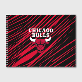 Альбом для рисования с принтом Chicago Bulls в Новосибирске, 100% бумага
 | матовая бумага, плотность 200 мг. | Тематика изображения на принте: 23 | air jordan | bulls | chicago bulls | jordan | michael jordan | nba | paris saint germain | psg | red | sport | быки | джордан | майкл джордан | псж | спорт | чикаго буллс